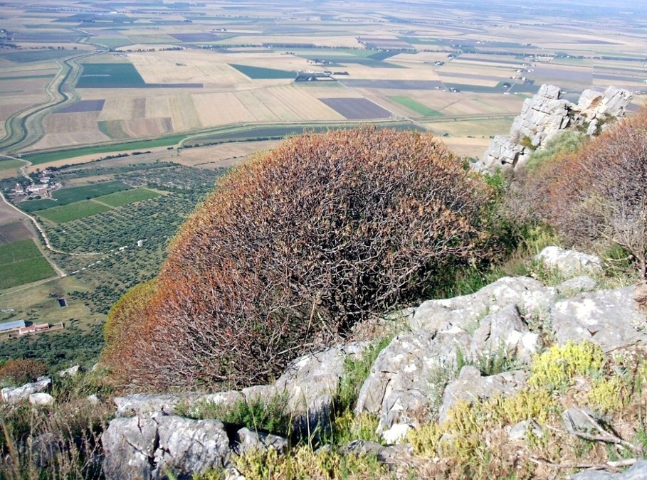 I colori del Gargano